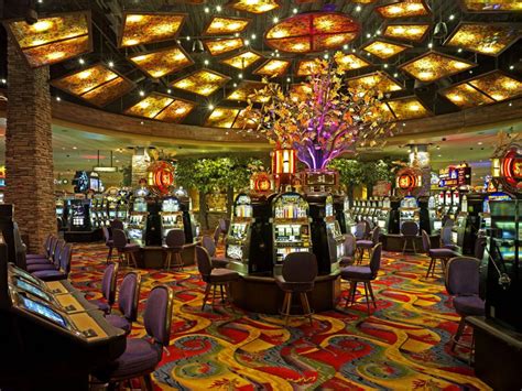 Blackoak casino - Casino Hotel General Manager with over 10 years of working in the hotel & casinos… · Experience: Black Oak Casino Resort · Education: Cornell University · Location: Tuolumne · 500 ...